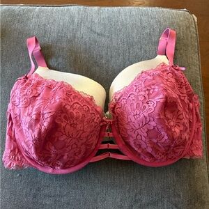 Cacique Lace Push-Up Bra in Fuchsia